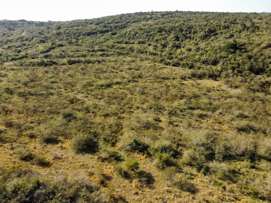 0 Bedroom Property for Sale in East London Rural Eastern Cape